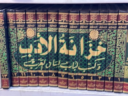 خزانة الادب ولب لباب لسان العرب13/1